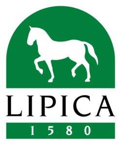 ESSA-prijs voor enkelspan paarden in Lipica